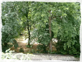 location vacances etudiant saisonnier annecy